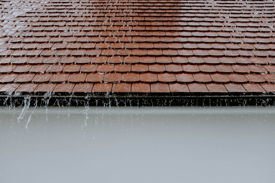 Roofing Contractors in Auburn, MA: Who to Call for Repairs and Replacements